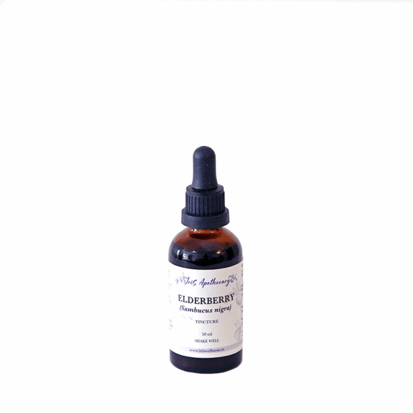 ELDERBERRY Extract